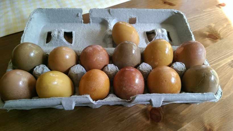 Dyeing Easter eggs naturally | The Half-Crunchy Mama